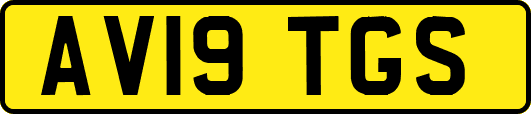 AV19TGS