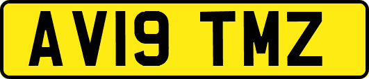 AV19TMZ