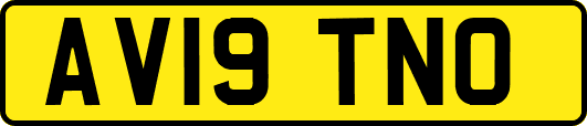 AV19TNO