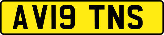 AV19TNS