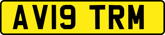 AV19TRM