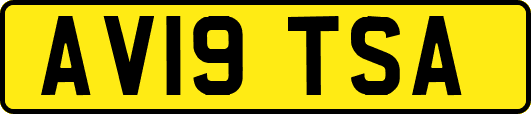 AV19TSA