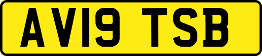 AV19TSB