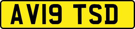 AV19TSD
