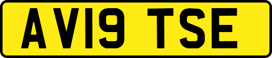 AV19TSE