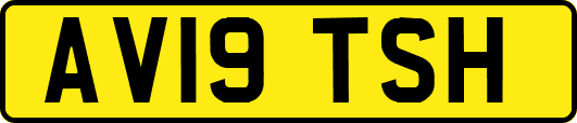 AV19TSH