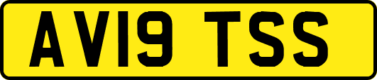 AV19TSS