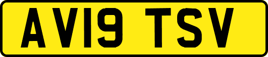 AV19TSV
