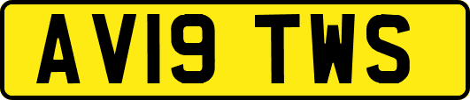 AV19TWS