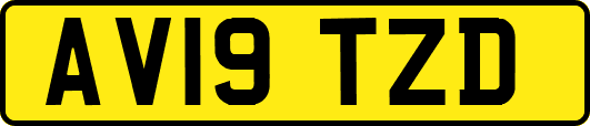 AV19TZD