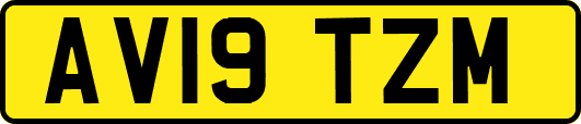 AV19TZM