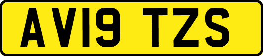 AV19TZS