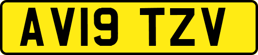 AV19TZV