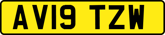 AV19TZW