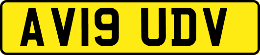 AV19UDV