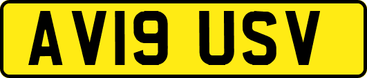 AV19USV