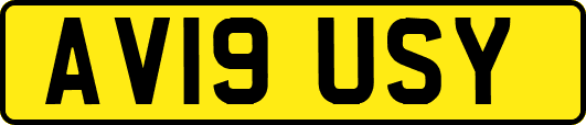 AV19USY