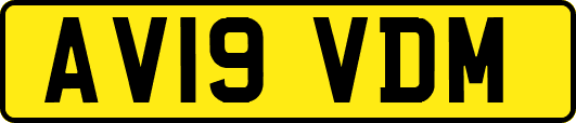 AV19VDM