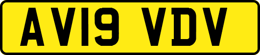 AV19VDV