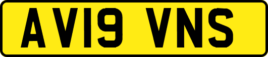 AV19VNS