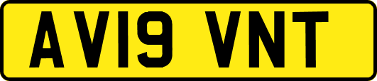 AV19VNT