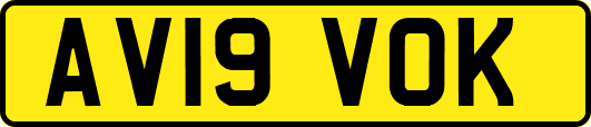 AV19VOK