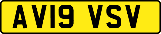 AV19VSV