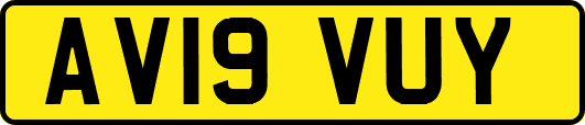 AV19VUY