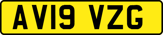 AV19VZG