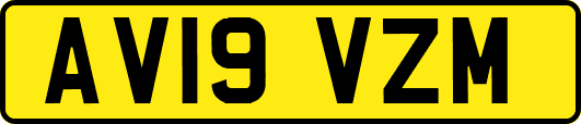 AV19VZM