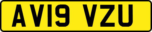 AV19VZU