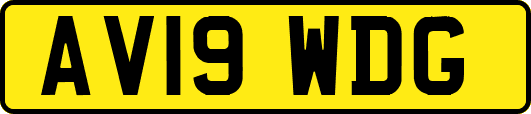 AV19WDG