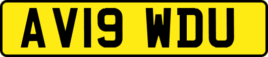AV19WDU