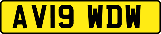 AV19WDW