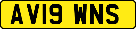 AV19WNS