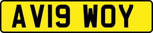 AV19WOY
