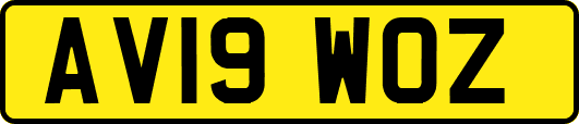 AV19WOZ