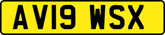AV19WSX