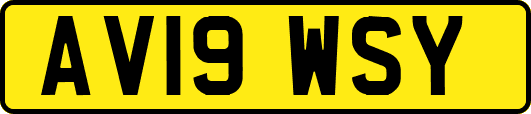 AV19WSY