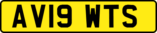 AV19WTS