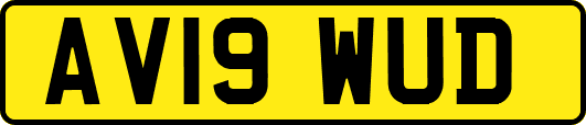AV19WUD
