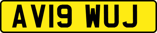 AV19WUJ
