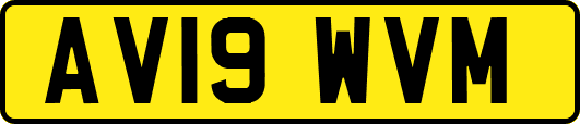 AV19WVM