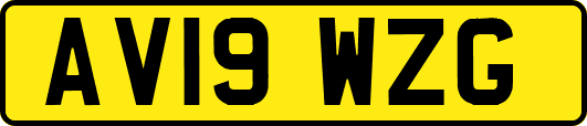 AV19WZG