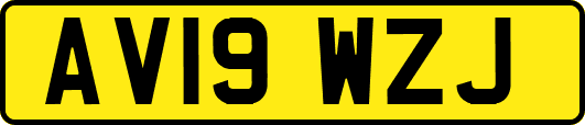 AV19WZJ