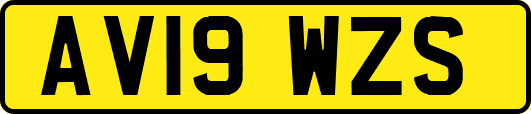 AV19WZS