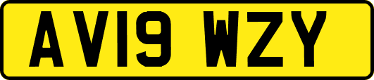 AV19WZY