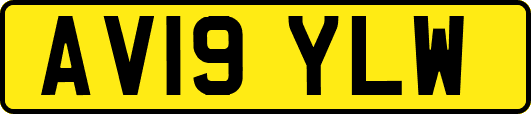 AV19YLW