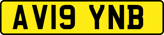 AV19YNB