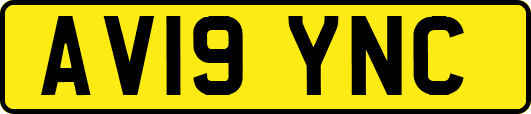 AV19YNC